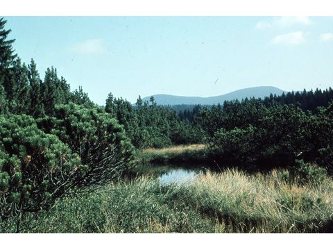 Foto 21